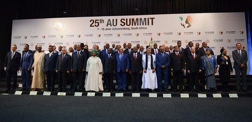 AU leaders call for peace and development in Africa - ảnh 1